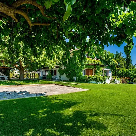 Villa Olympus Breeze Luxury Pool Up To 22 Guests